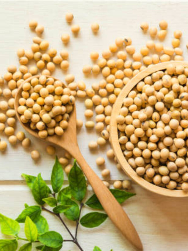 सोयाबीन खाने के फायदे – Soyabean benefits in hindi