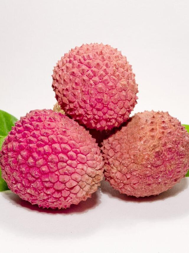 लीची के फायदे और उपयोग : – Benefits of lychee