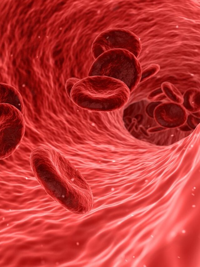 how to increase wbc count