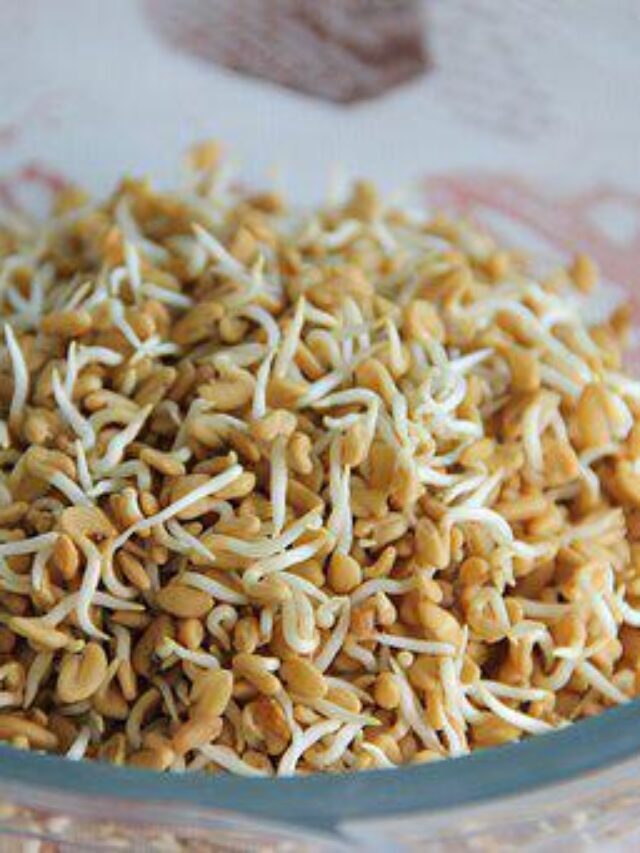 Miraculous fenugreek benefits and uses