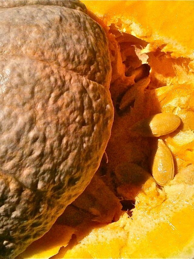 health benefits of pumpkin seeds