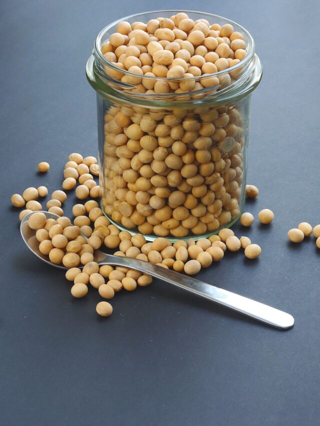 soybean protein