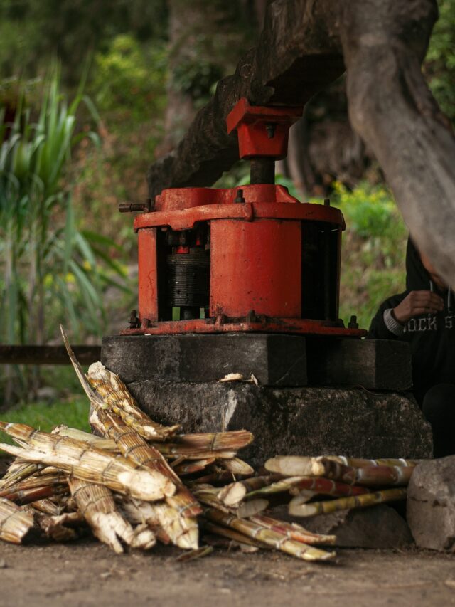 sugarcane benefits in hindi