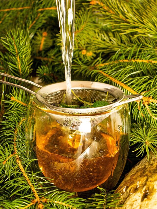 अदरक वाली चाय पीने के हैरान करने वाले फायदे