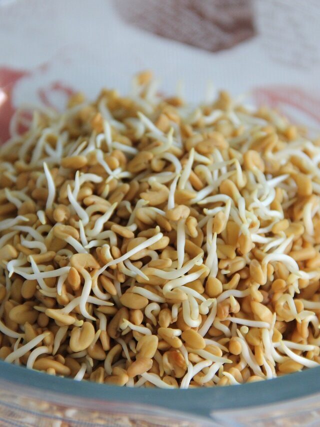 अंकुरित मैथी खाने के फायदे