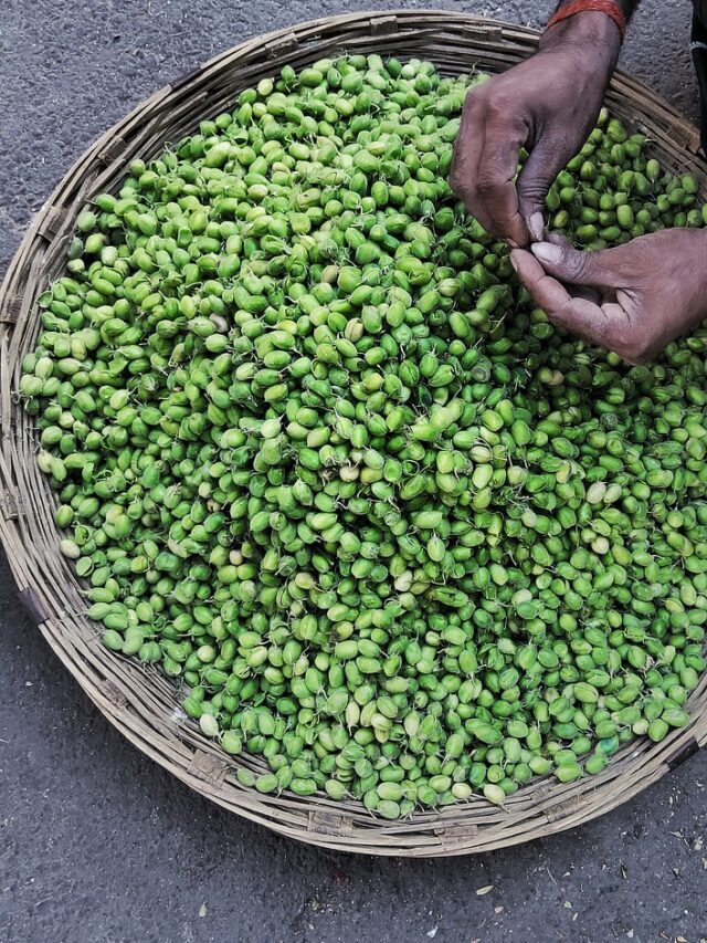 मूंग दाल खाने के फायदे