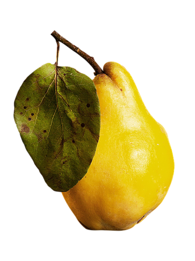 रोज अमरुद खाने के जबरदस्त फायदे