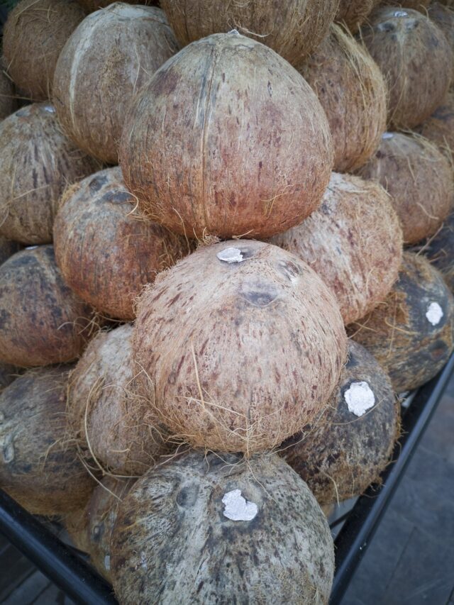 कच्चा नारियल खाने के जबरदस्त फायदे