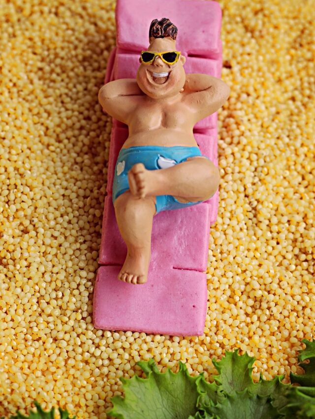 best millet in hindi