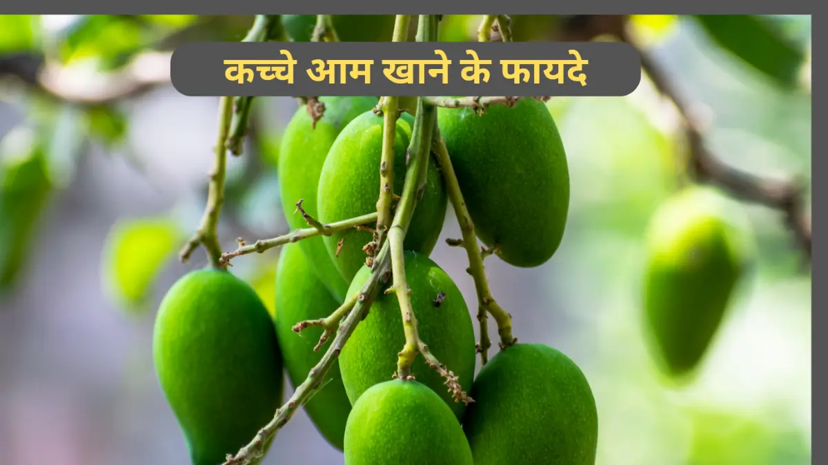 Raw mango benefits in hindi
