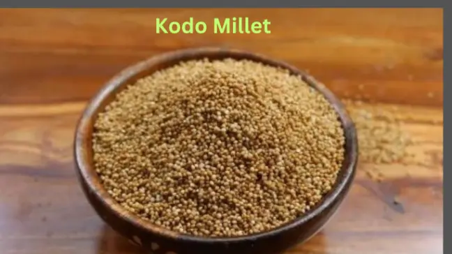 kodo millet benefits recipes in hindi