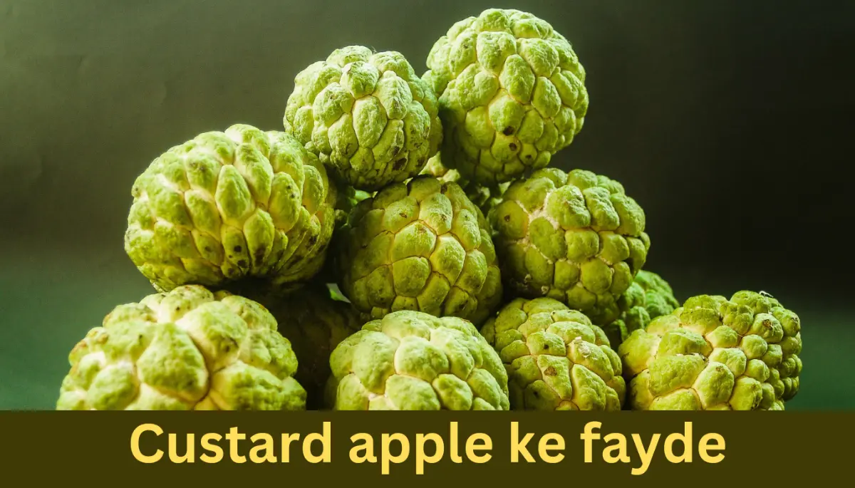 Custard apple benefits in hindi