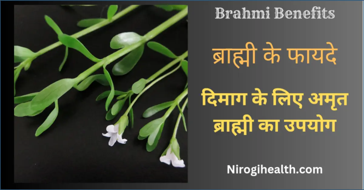 brahmi benefits and side effects in hindi