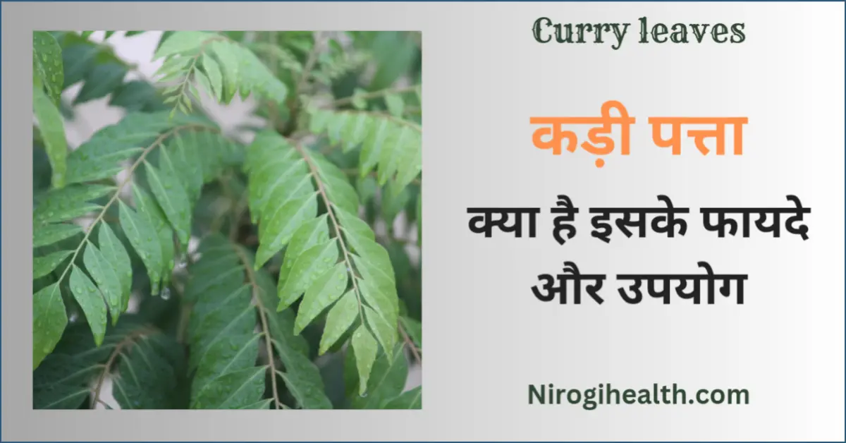 curry leaves in hindi