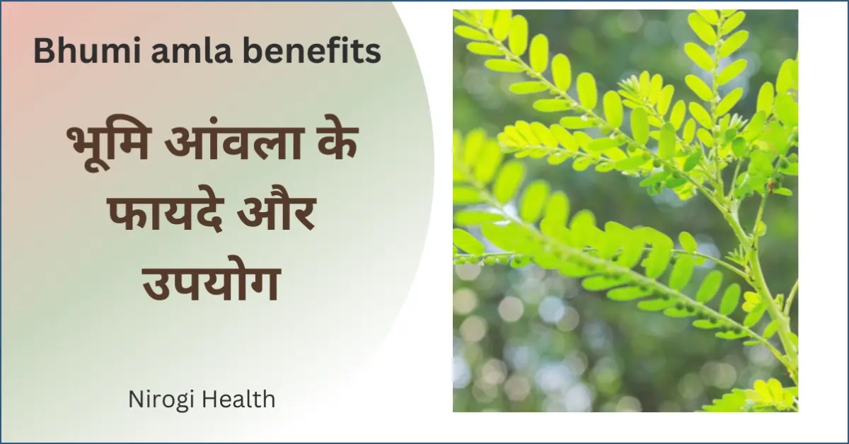 bhumi amla benefits