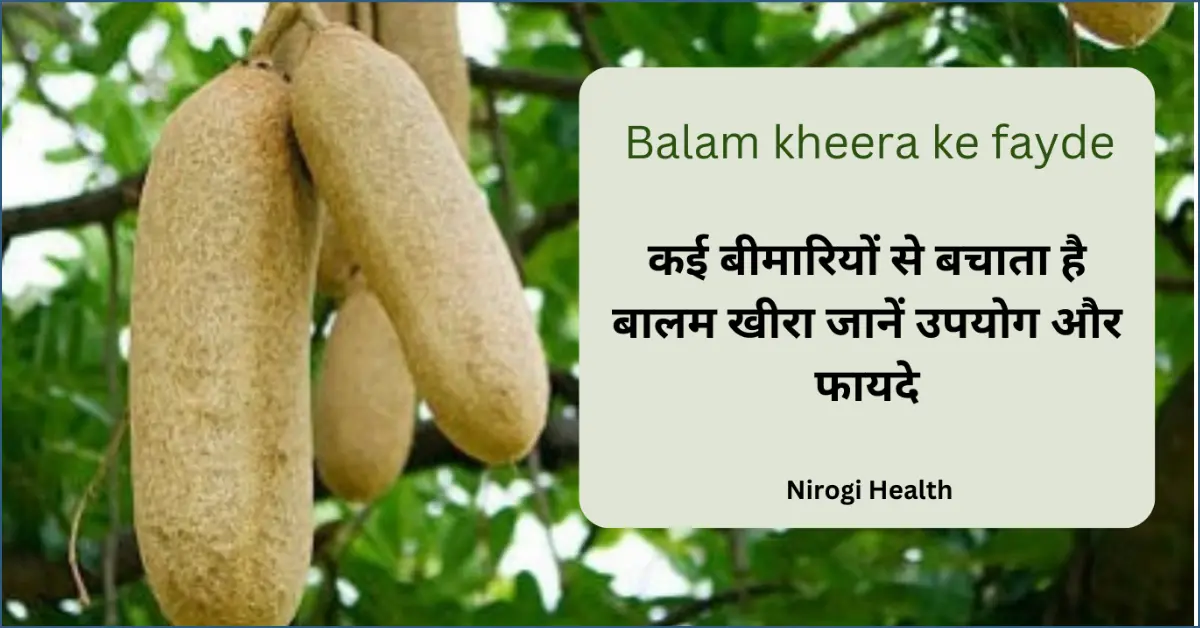 balam kheera benefits in hindi