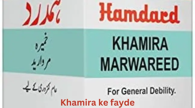 khamira marwareed benefits