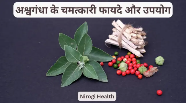 benefits of ashwagandha in hindi