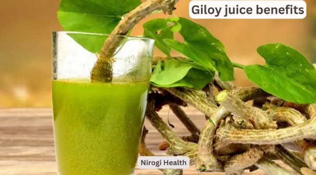 giloy juice benefits