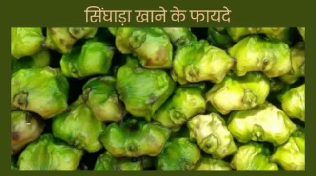 chestnut fruit benefits for health in hindi