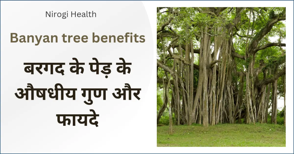 banyan tree benefits