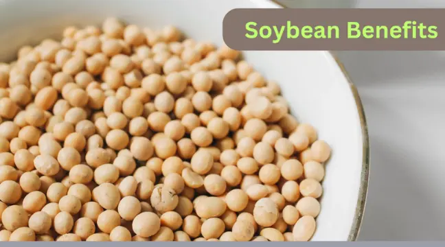Health benefits of uses soybean in hindi