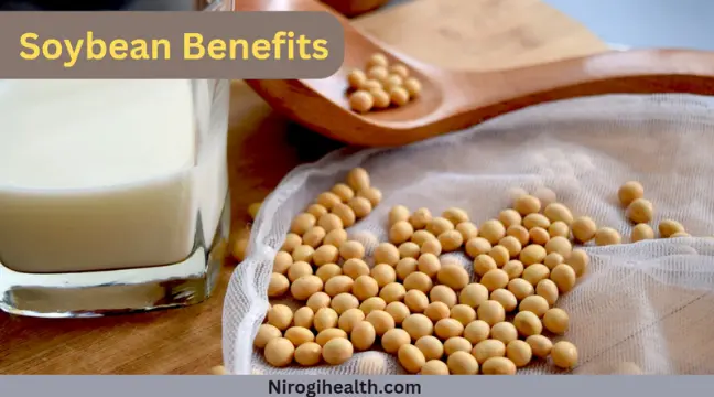 Health benefits of uses soybean in hindi