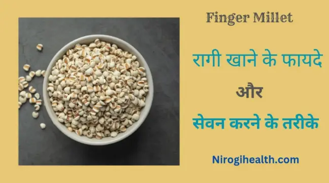 Finger millet