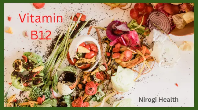 vitamin b12 foods vegetarian