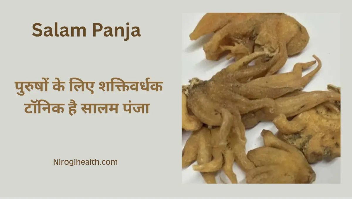 Salam panja benefits